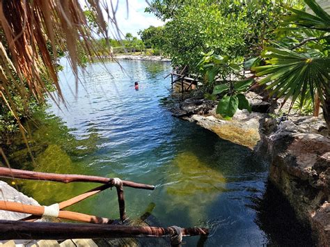 Magical cenote and paradisr lagoon snorkelinh adventure